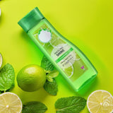 Calamansi Shampoo and Conditioner for Women, Dazzling Shine for All Types of Hair, 400ml (Pack of 2)