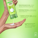 Calamansi Shampoo and Conditioner for Women, Dazzling Shine for All Types of Hair, 400ml (Pack of 2)