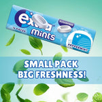 Peppermint Breath Mints Bundle – Extra Sugar-Free, 16 Pieces per Pack, Pack of 6 – Long-Lasting Fresh Breath