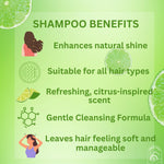 Calamansi Shampoo and Conditioner for Women, Dazzling Shine for All Types of Hair, 400ml (Pack of 2)