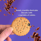 McVities' Fiery Ginger Nuts Cookies, 250g & Fruity Shortcake Biscuits, 200g (Pack of 4)