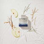 Banderas Perfumes - King of Seduction