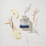 Banderas Perfumes - King of Seduction